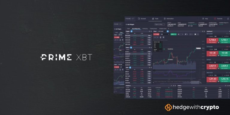 All You Need to Know About PrimeXBT Users