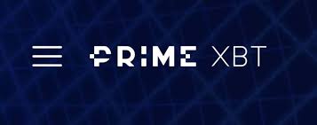 All You Need to Know About PrimeXBT Users