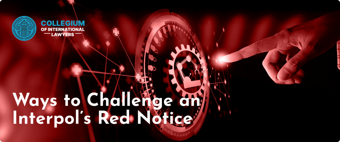 Інтерпол Глобальна правоохоронна система в дії 373538860